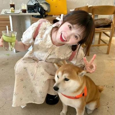 真爱敲错门