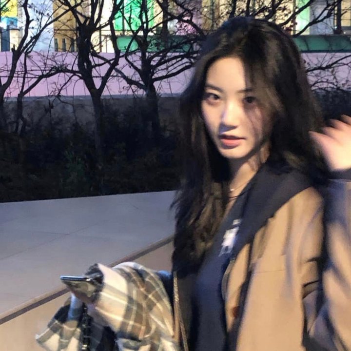 少年伊戈尔与鹤